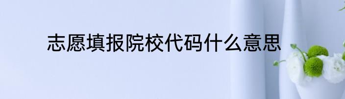志愿填报院校代码什么意思