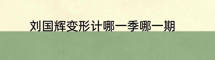 刘国辉变形计哪一季哪一期