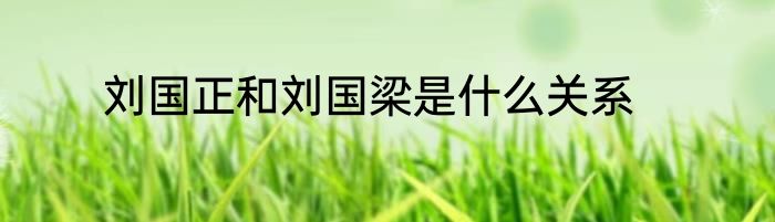 刘国正和刘国梁是什么关系