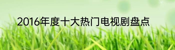2016年度十大热门电视剧盘点
