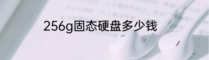 256g固态硬盘多少钱
