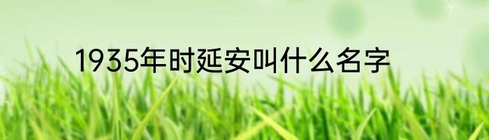 1935年时延安叫什么名字