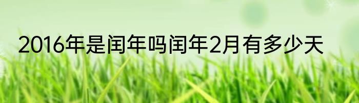 2016年是闰年吗闰年2月有多少天