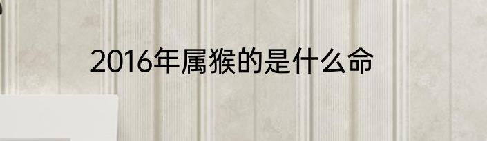 2016年属猴的是什么命