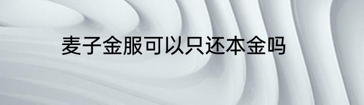 麦子金服可以只还本金吗