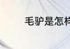 毛驴是怎样配大红马的人马