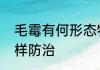 毛霉有何形态特征对香菇有何为害怎样防治