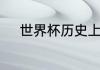 世界杯历史上最大的比分是多少