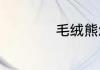 毛绒熊怎么清洗干净