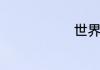 世界波啥意思