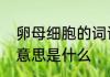 卵母细胞的词语意思卵母细胞的词语意思是什么