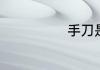 手刀是什么意思