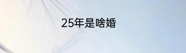 25年是啥婚