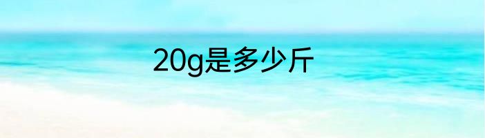 20g是多少斤