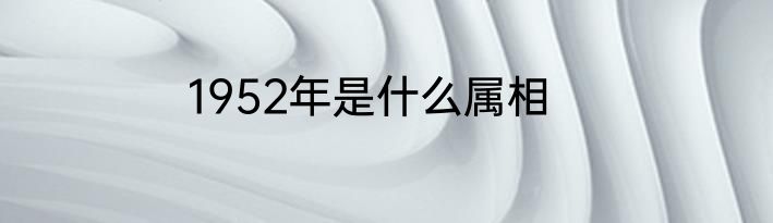 1952年是什么属相