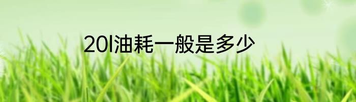 20l油耗一般是多少