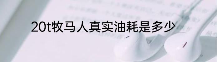 20t牧马人真实油耗是多少