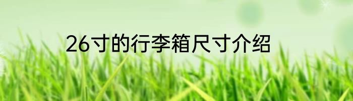 26寸的行李箱尺寸介绍