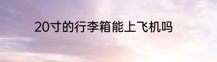 20寸的行李箱能上飞机吗