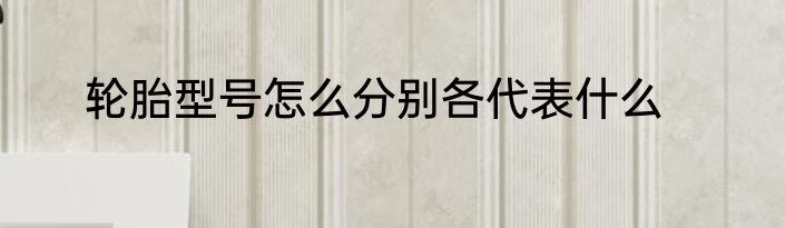 轮胎型号怎么分别各代表什么