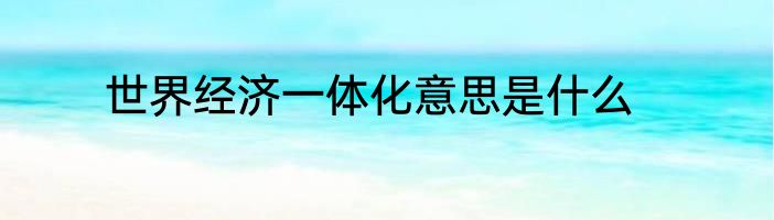 世界经济一体化意思是什么