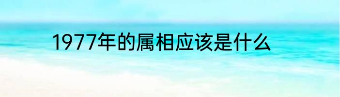 1977年的属相应该是什么