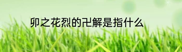 卯之花烈的卍解是指什么