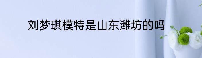 刘梦琪模特是山东潍坊的吗