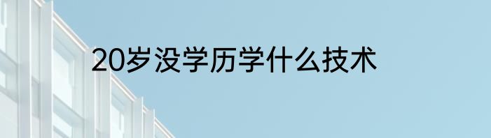 20岁没学历学什么技术