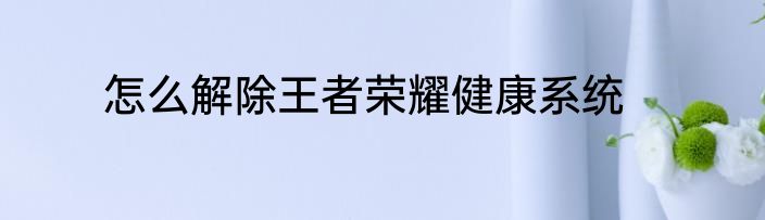 怎么解除王者荣耀健康系统