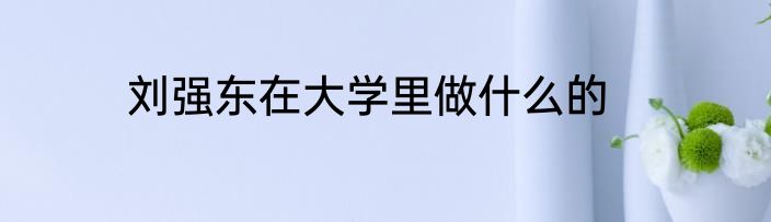 刘强东在大学里做什么的