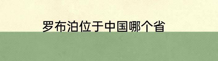罗布泊位于中国哪个省