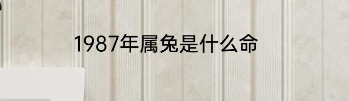 1987年属兔是什么命