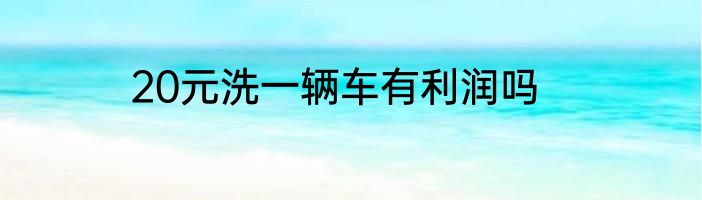 20元洗一辆车有利润吗