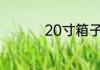20寸箱子能带上飞机吗