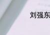 刘强东是北京人吗