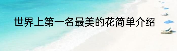 世界上第一名最美的花简单介绍