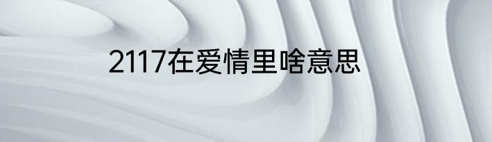 2117在爱情里啥意思