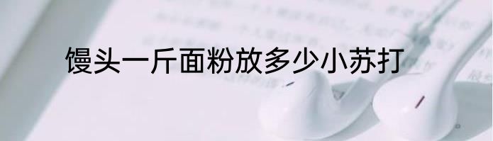 馒头一斤面粉放多少小苏打