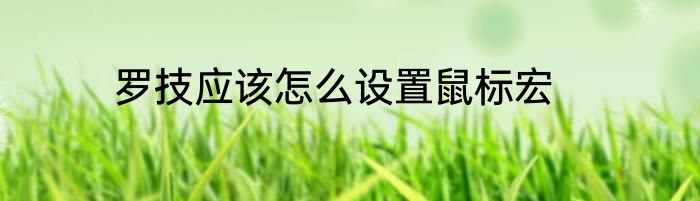 罗技应该怎么设置鼠标宏