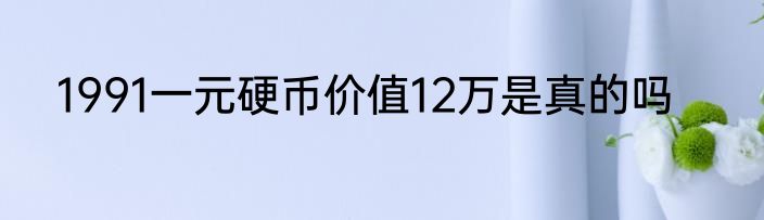 1991一元硬币价值12万是真的吗