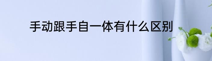 手动跟手自一体有什么区别