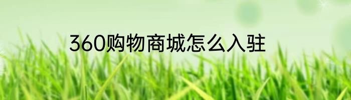 360购物商城怎么入驻