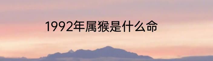 1992年属猴是什么命