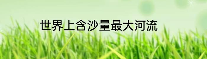 世界上含沙量最大河流