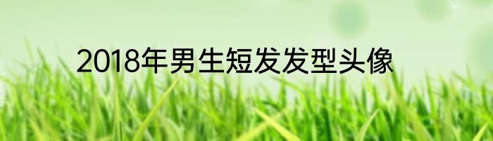 2018年男生短发发型头像