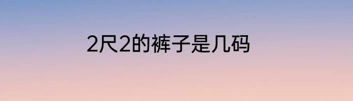 2尺2的裤子是几码