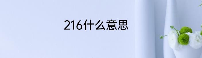 216什么意思