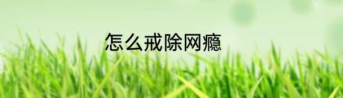 怎么戒除网瘾