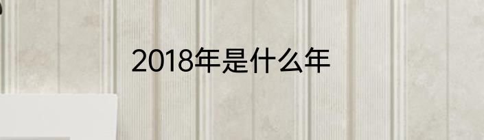 2018年是什么年